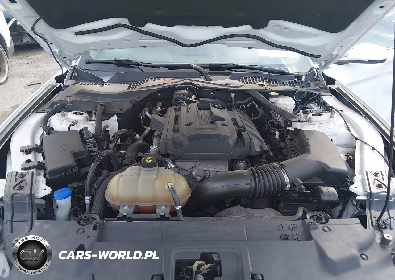 2020 Ford Mustang Ecoboost Premium VIN:1FATP8UH5L5119196 - 10