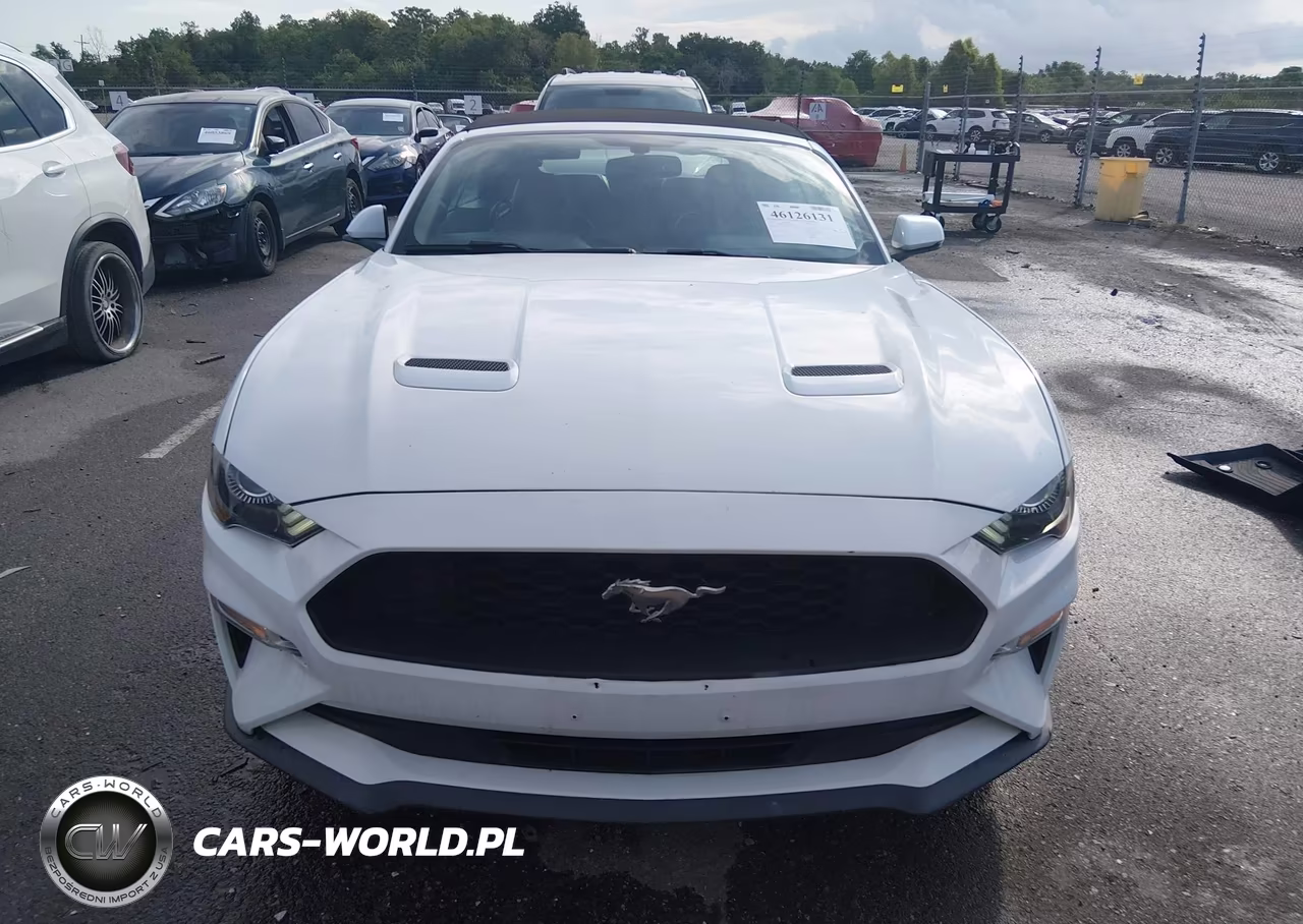 2020 Ford Mustang Ecoboost Premium VIN:1FATP8UH5L5119196 - 12