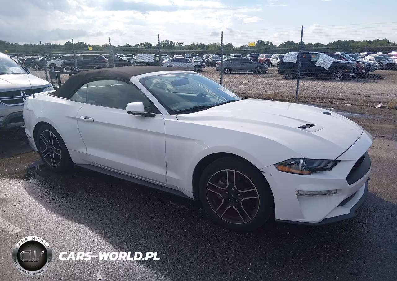 2020 Ford Mustang Ecoboost Premium VIN:1FATP8UH5L5119196 - 13