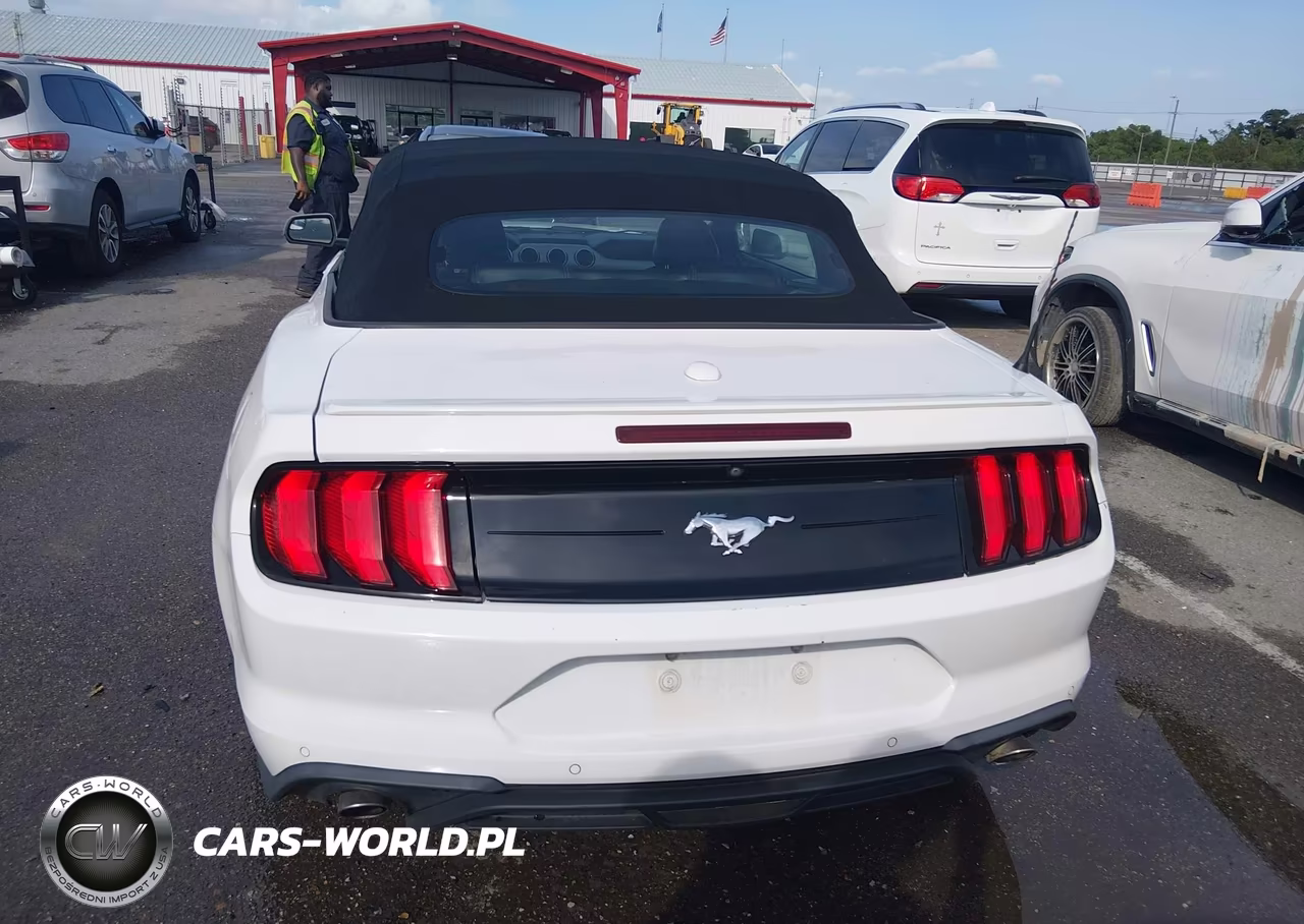 2020 Ford Mustang Ecoboost Premium VIN:1FATP8UH5L5119196 - 16