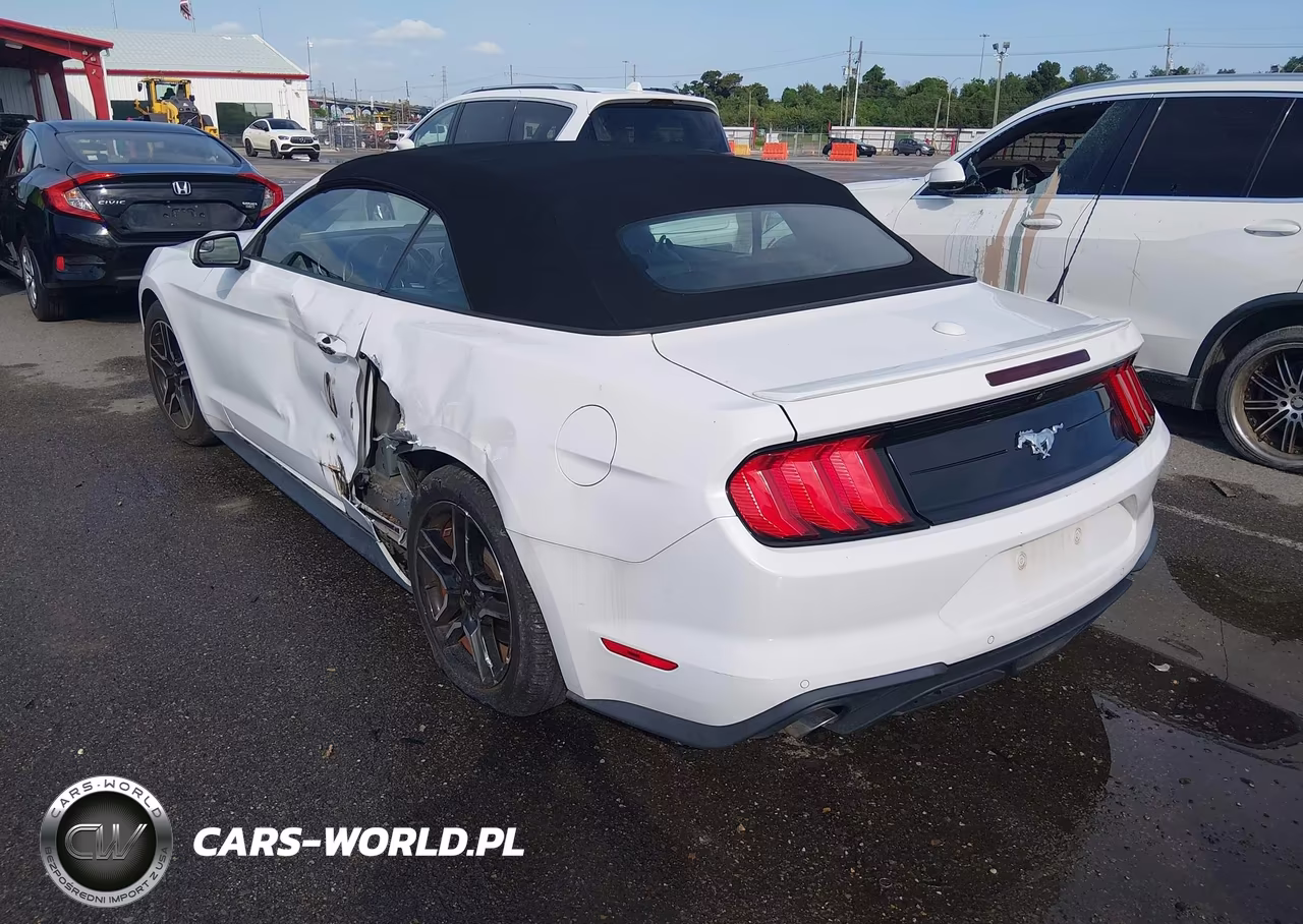 2020 Ford Mustang Ecoboost Premium VIN:1FATP8UH5L5119196 - 3