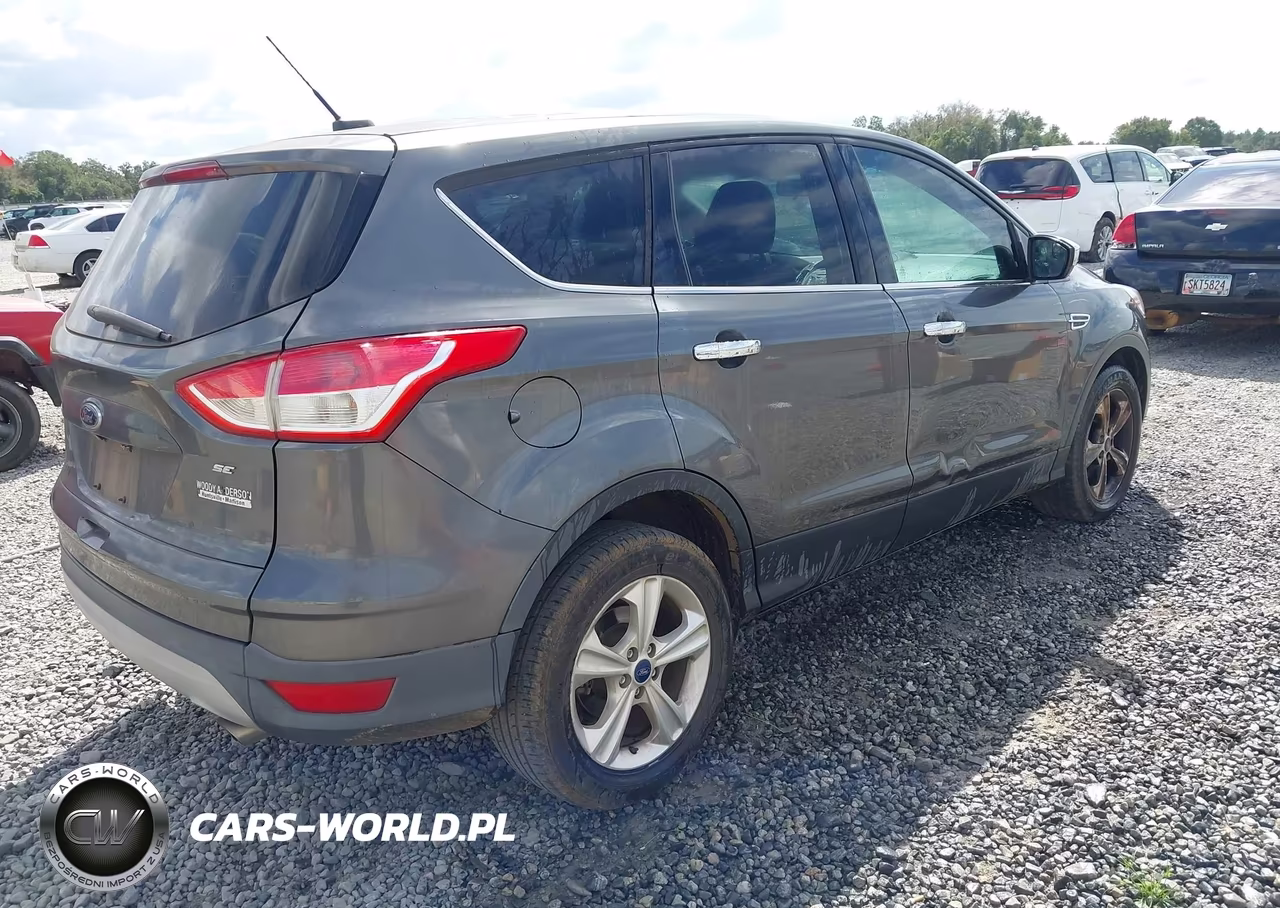 2016 Ford Escape Se VIN:1FMCU0G74GUA26619 - 4