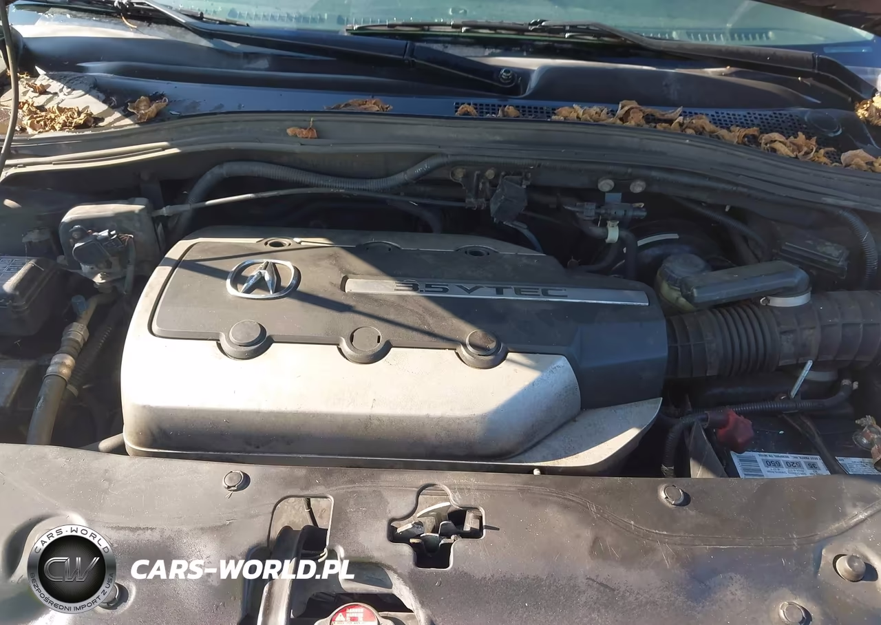 2005 Acura Mdx VIN:2HNYD18225H555614 - 10