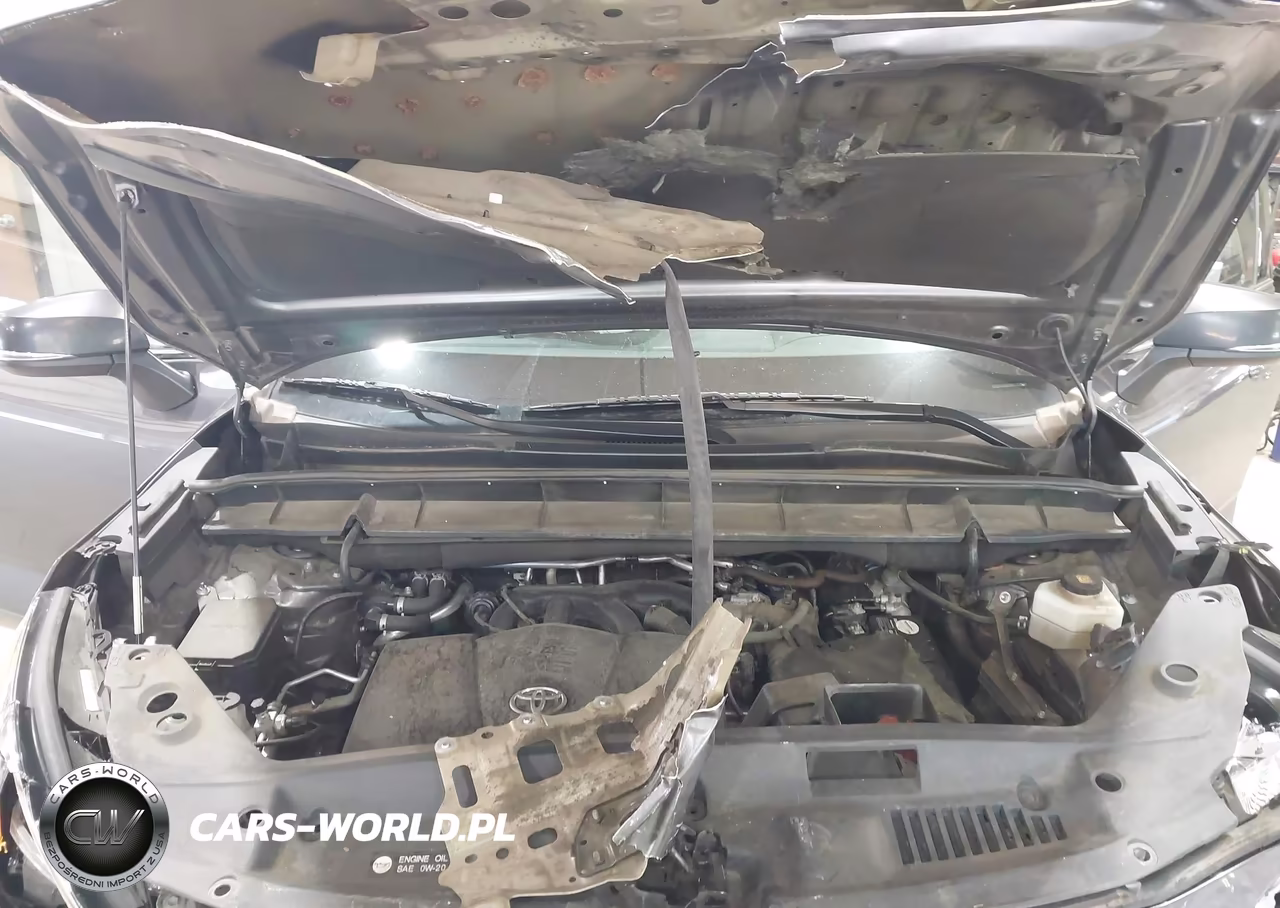 2020 Toyota Highlander Xle VIN:5TDGZRAHXLS509737 - 10