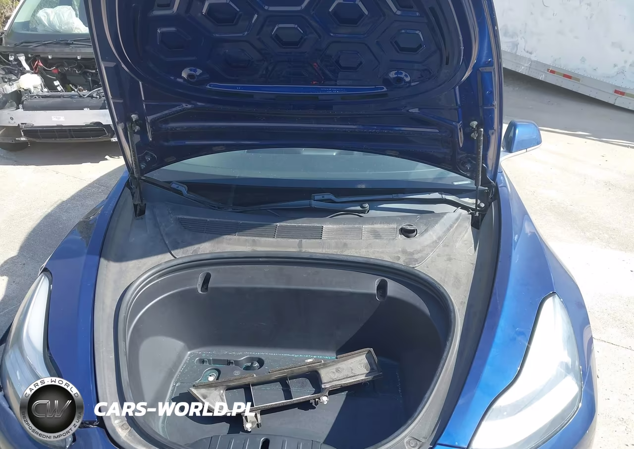 2020 Tesla Model 3 Standard Range Plus Rear-Wheel Drive-Standard Range Rear-Wheel Drive VIN:5YJ3E1EA9LF597337 - 10