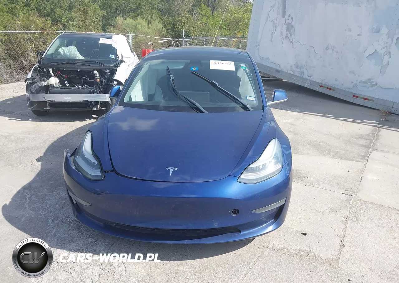2020 Tesla Model 3 Standard Range Plus Rear-Wheel Drive-Standard Range Rear-Wheel Drive VIN:5YJ3E1EA9LF597337 - 12