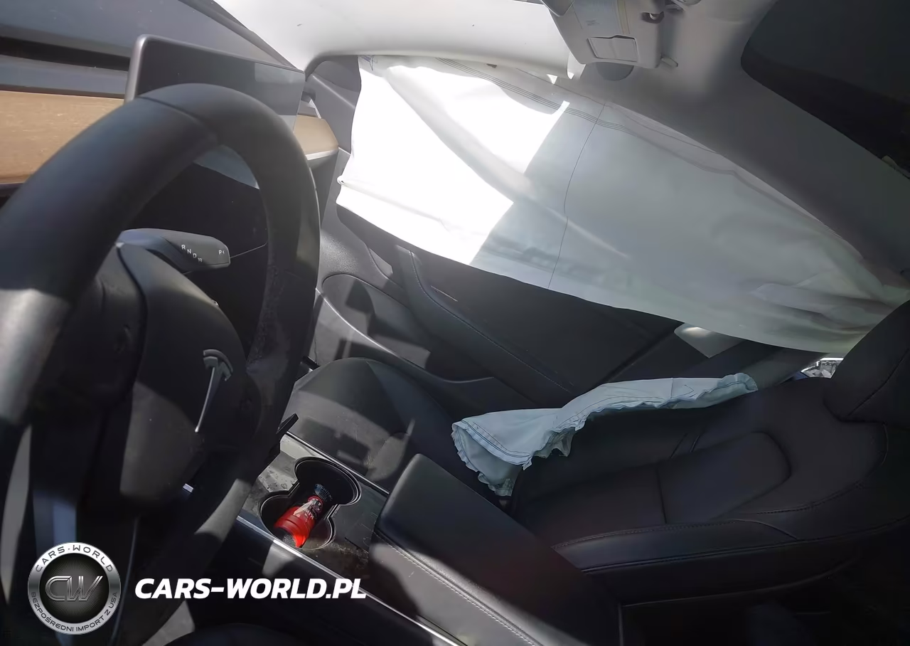 2020 Tesla Model 3 Standard Range Plus Rear-Wheel Drive-Standard Range Rear-Wheel Drive VIN:5YJ3E1EA9LF597337 - 17