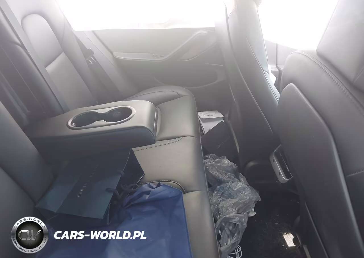 2020 Tesla Model 3 Standard Range Plus Rear-Wheel Drive-Standard Range Rear-Wheel Drive VIN:5YJ3E1EA9LF597337 - 8