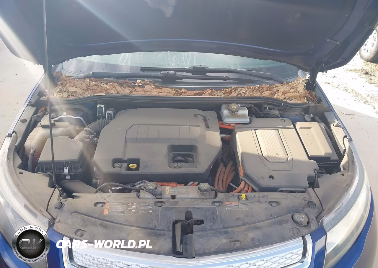 2013 Chevrolet Volt VIN:1G1RA6E46DU124252 - 10