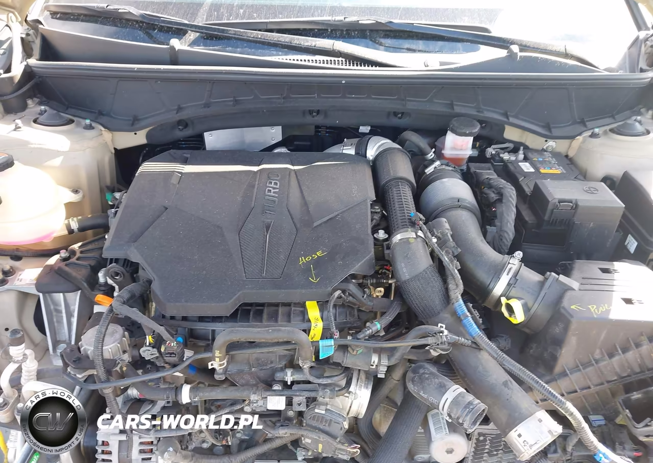 2023 Hyundai Santa Cruz Limited VIN:5NTJEDAF0PH073688 - 10