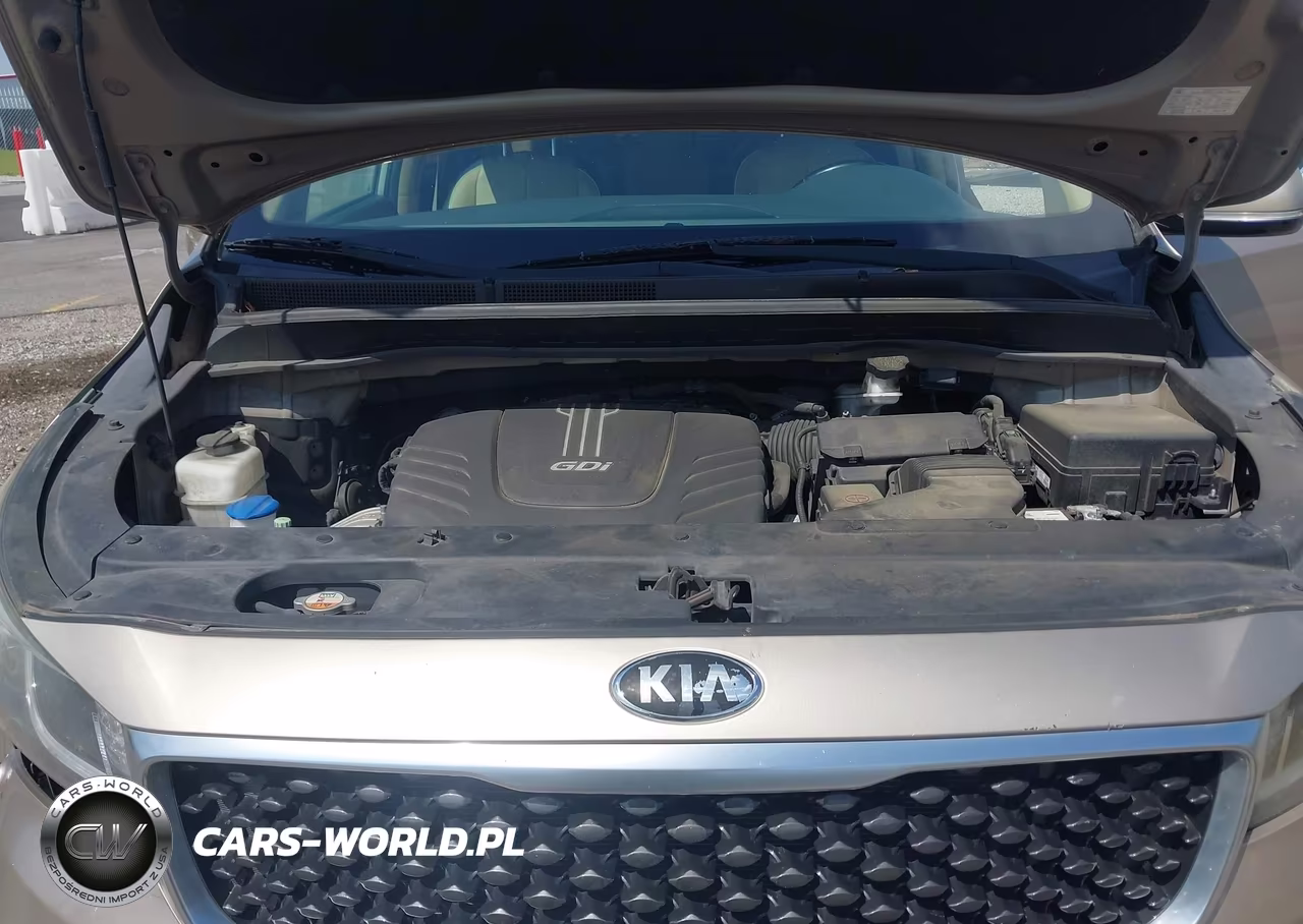 2015 Kia Sedona Sx VIN:KNDMC5C1XF6018652 - 10