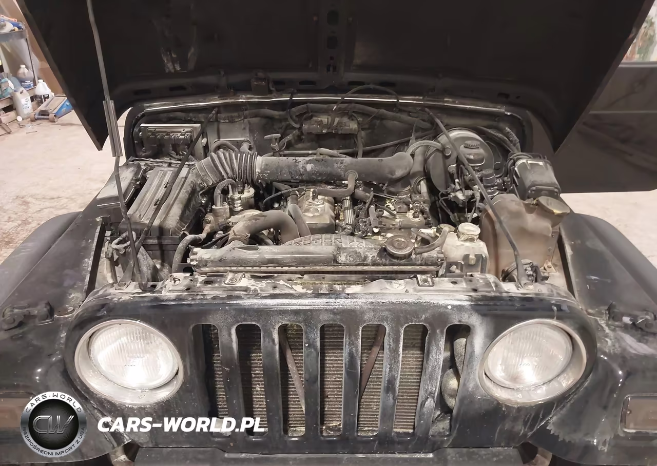 1999 Jeep Wrangler Sport VIN:1J4FY19S7XP402171 - 10