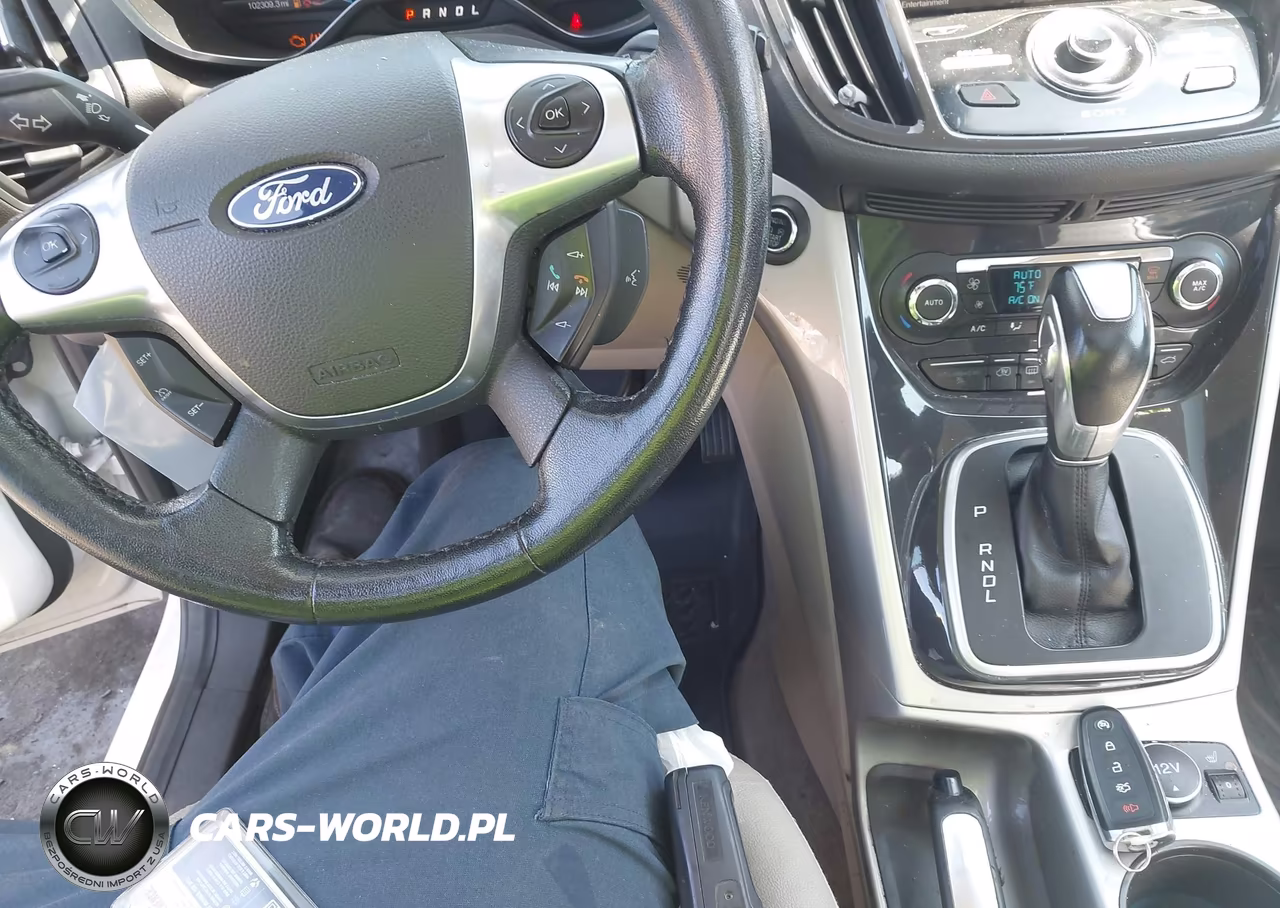 2015 Ford C-Max Energi Sel VIN:1FADP5CU9FL101043 - 11