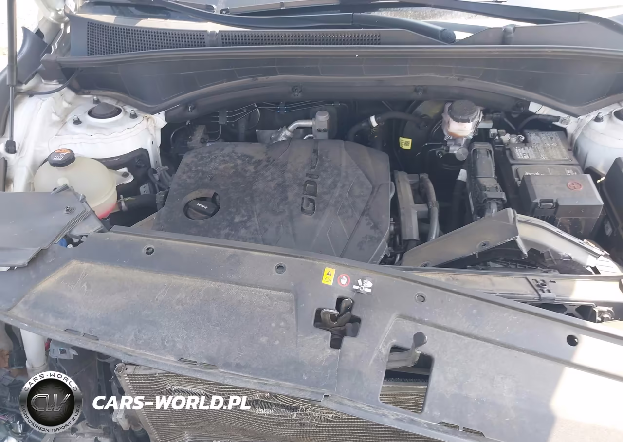 2022 Hyundai Santa Fe Xrt VIN:5NMS6DAJ6NH408242 - 10
