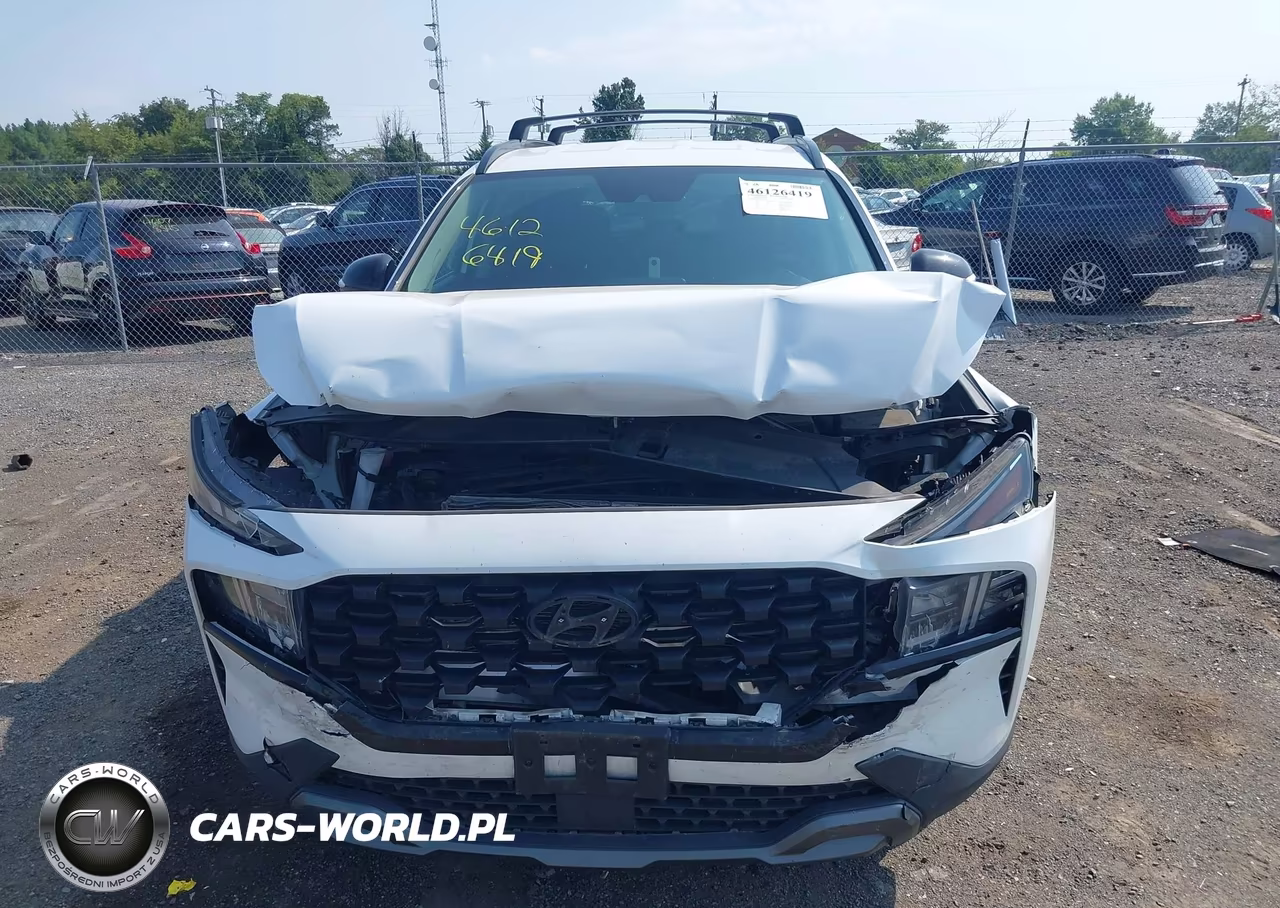 2022 Hyundai Santa Fe Xrt VIN:5NMS6DAJ6NH408242 - 13