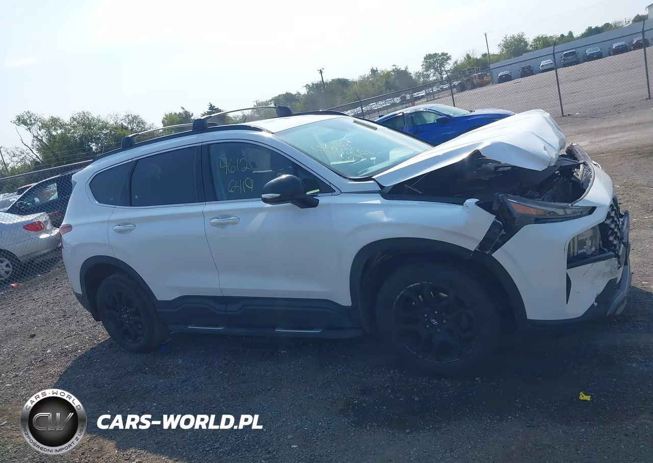 2022 Hyundai Santa Fe Xrt VIN:5NMS6DAJ6NH408242 - 14