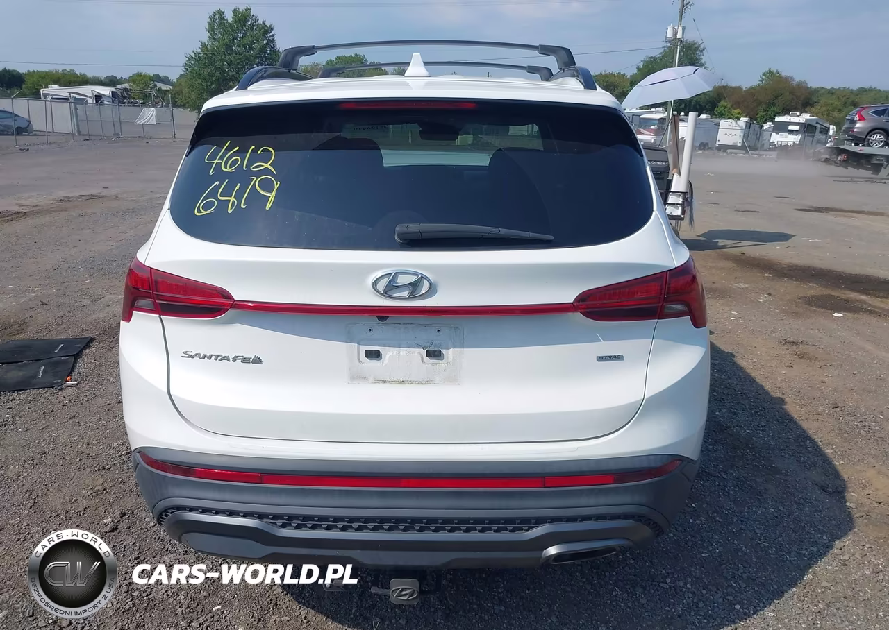 2022 Hyundai Santa Fe Xrt VIN:5NMS6DAJ6NH408242 - 17