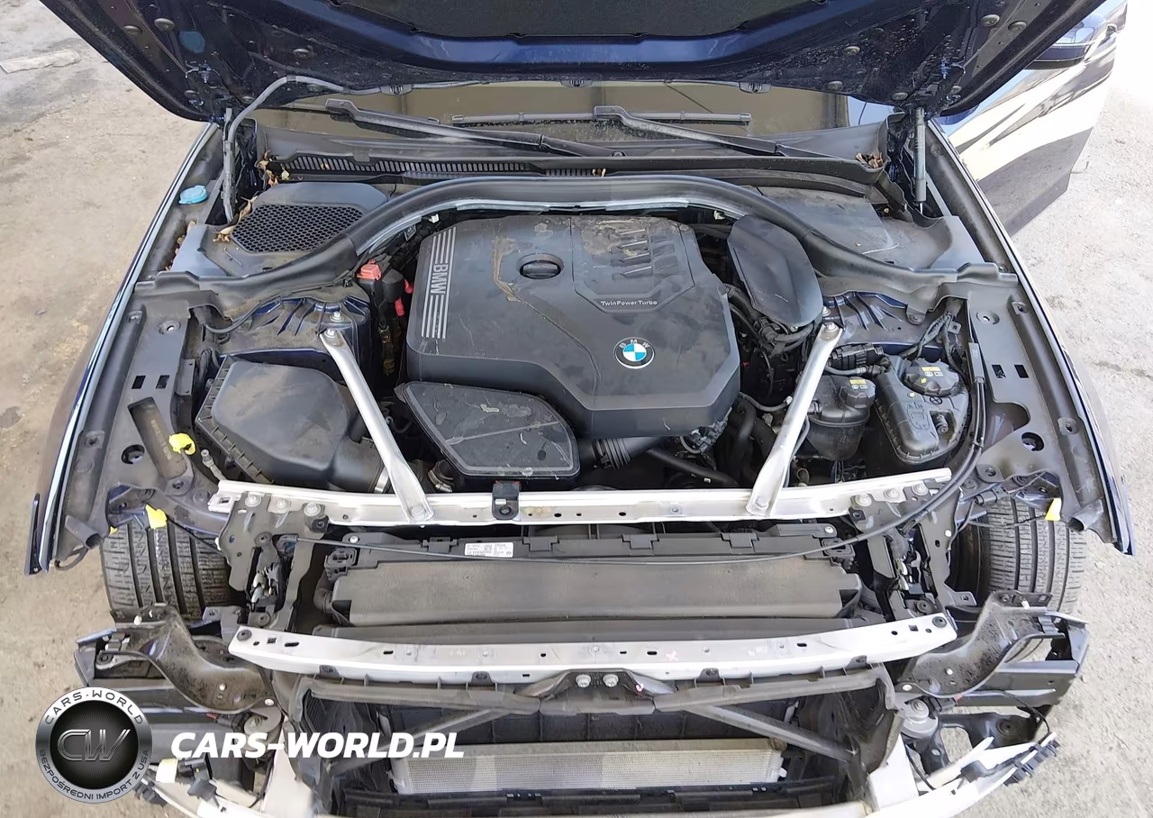 2020 BMW 530I VIN:WBAJR3C01LCE10929 - 10