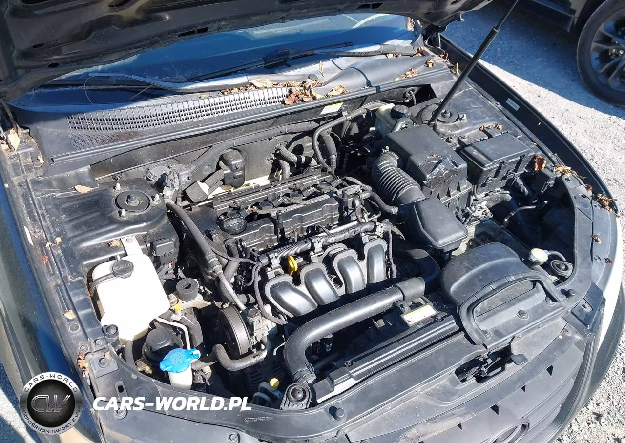 2010 Hyundai Sonata Gls VIN:5NPET4AC3AH634985 - 10