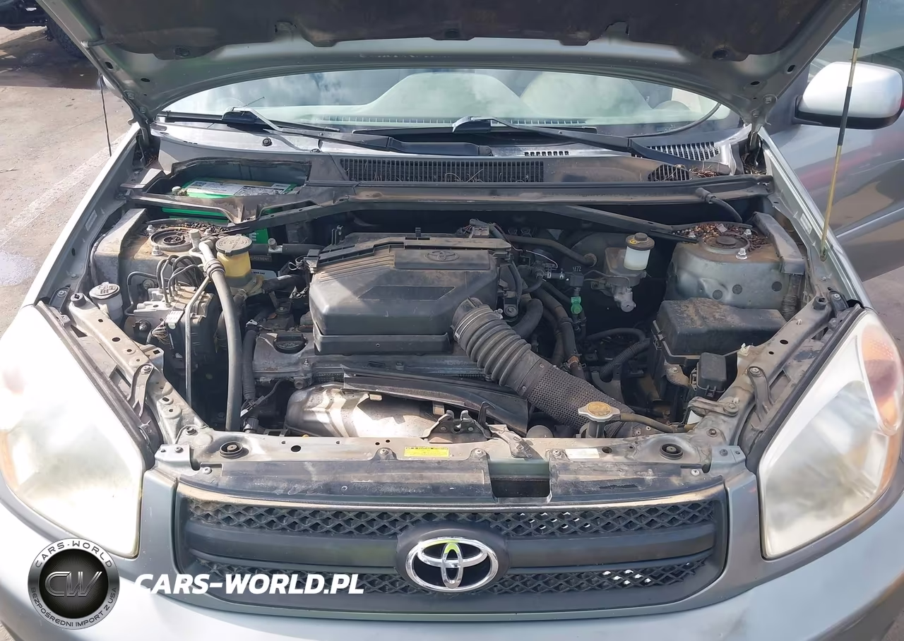 2004 Toyota Rav4 VIN:JTEHD20V040008891 - 10