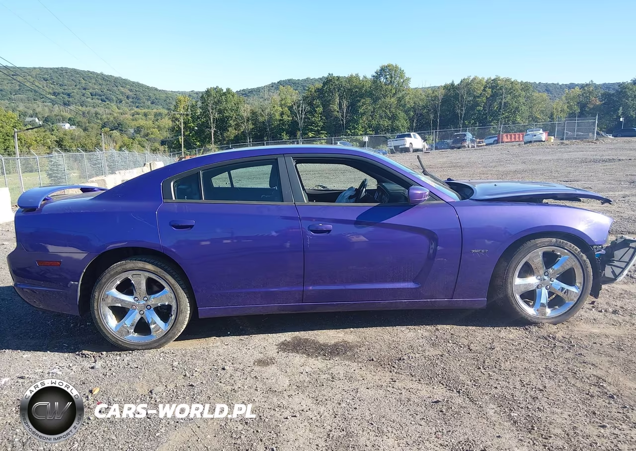 2014 Dodge Charger R-T Plus VIN:2C3CDXCT7EH182447 - 14