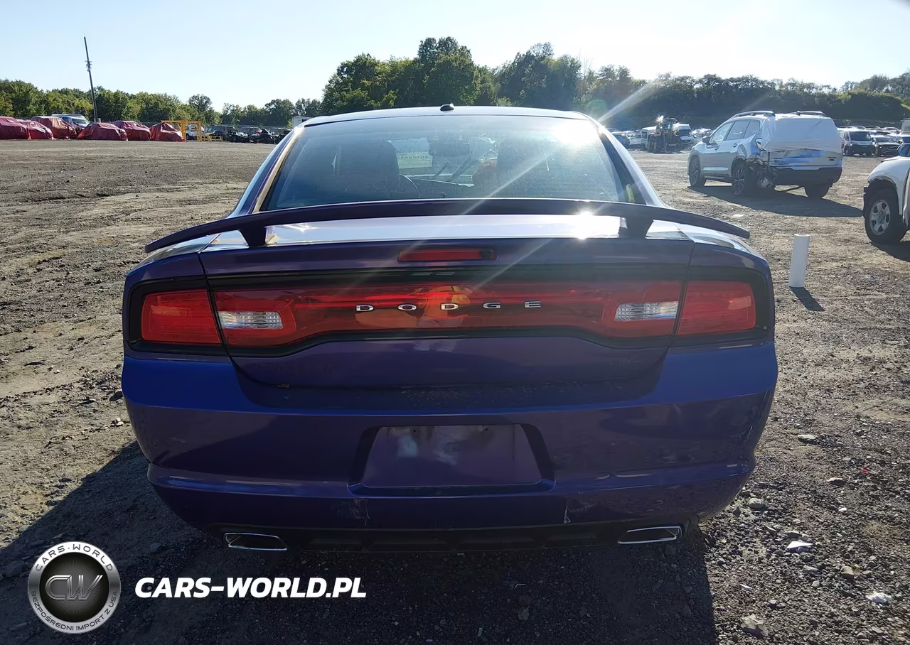 2014 Dodge Charger R-T Plus VIN:2C3CDXCT7EH182447 - 17