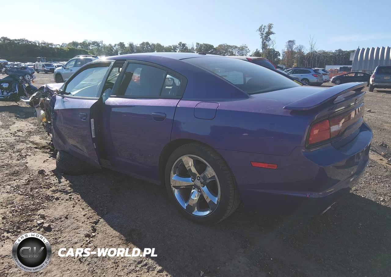 2014 Dodge Charger R-T Plus VIN:2C3CDXCT7EH182447 - 3