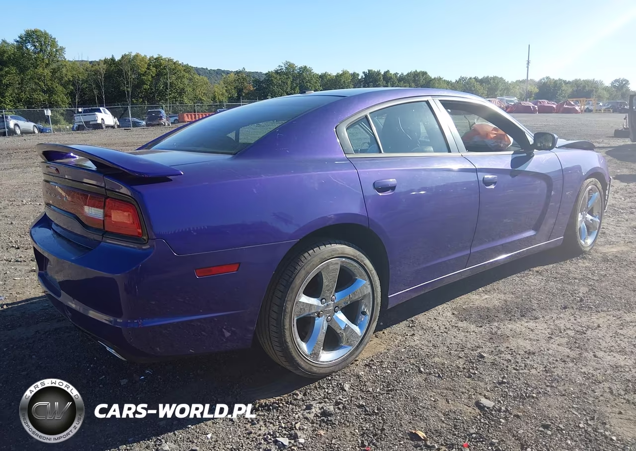 2014 Dodge Charger R-T Plus VIN:2C3CDXCT7EH182447 - 4