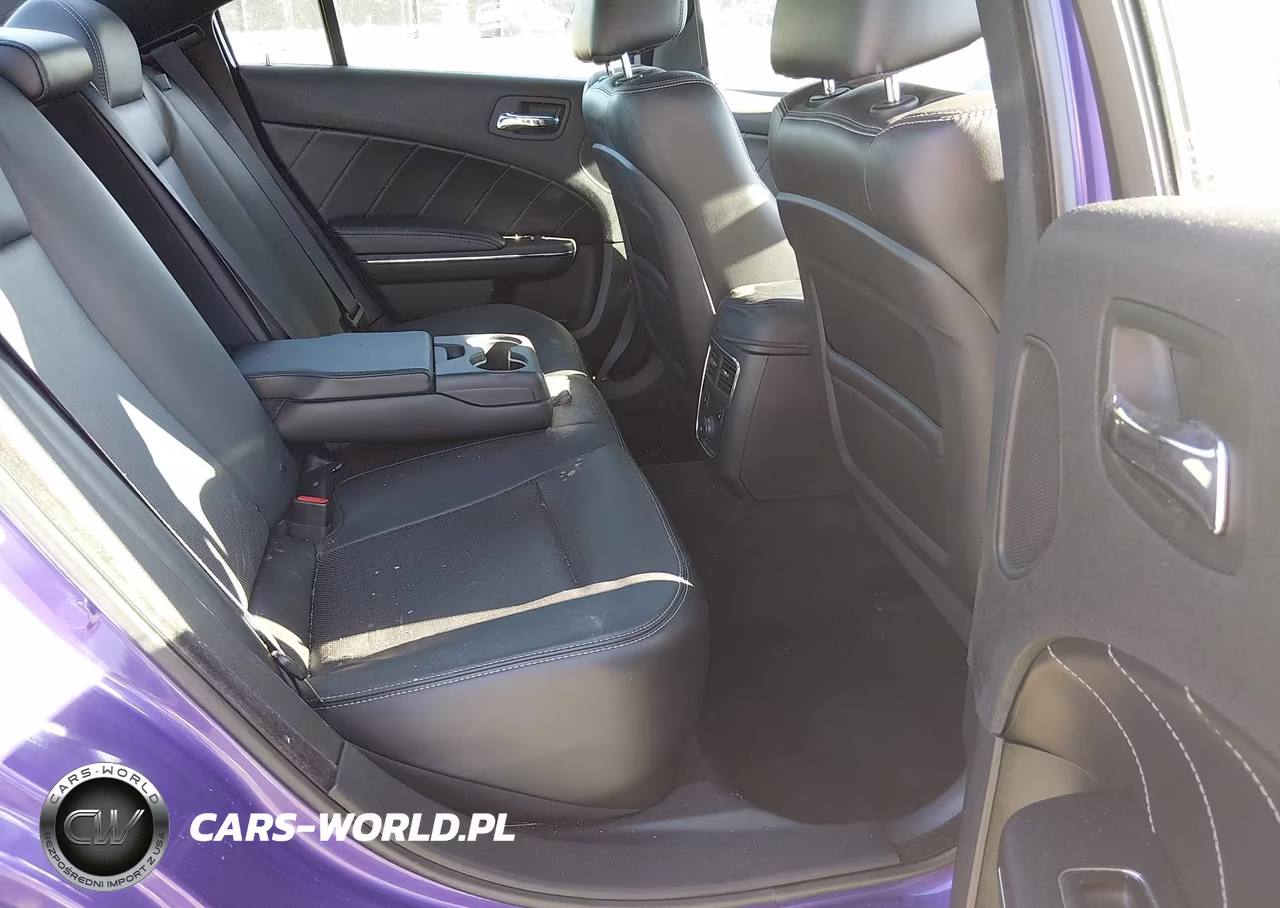 2014 Dodge Charger R-T Plus VIN:2C3CDXCT7EH182447 - 8