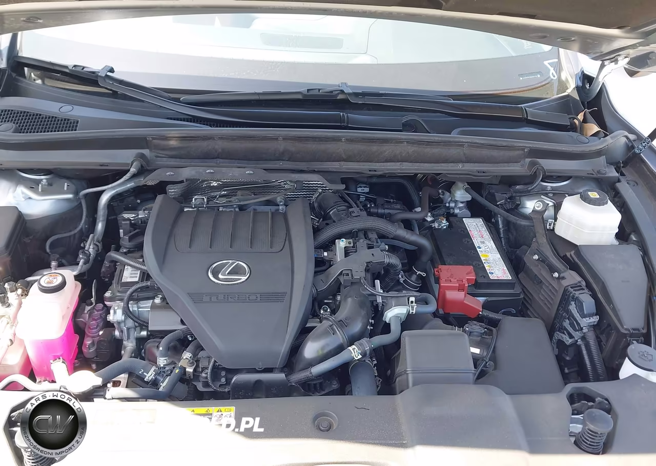 2025 Lexus Rx 350 Premium Plus VIN:JTJCHMAA3S2021157 - 10