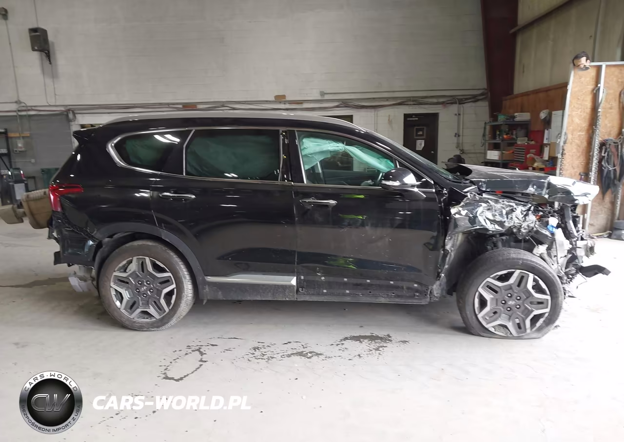 2021 Hyundai Santa Fe Limited VIN:5NMS4DAL7MH314196 - 13