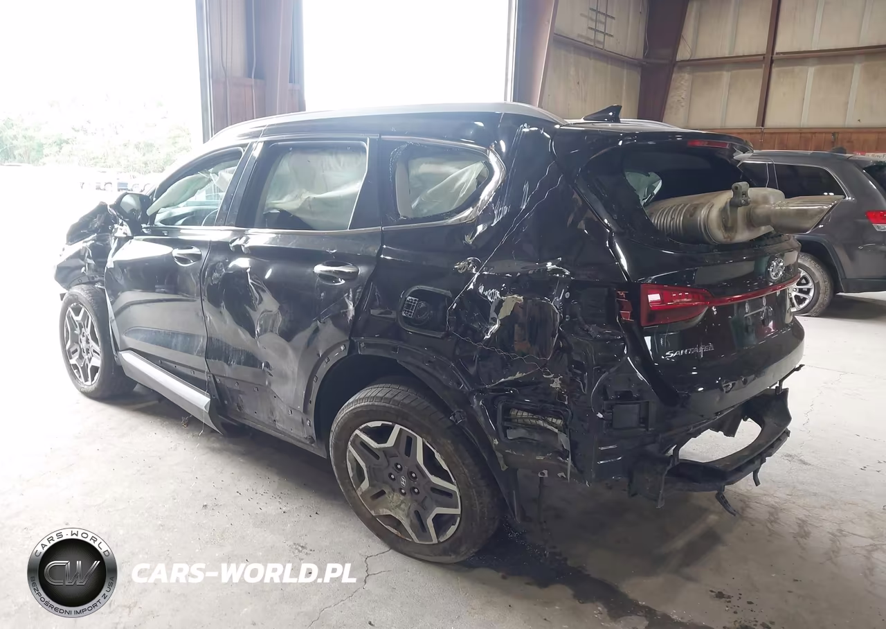 2021 Hyundai Santa Fe Limited VIN:5NMS4DAL7MH314196 - 3