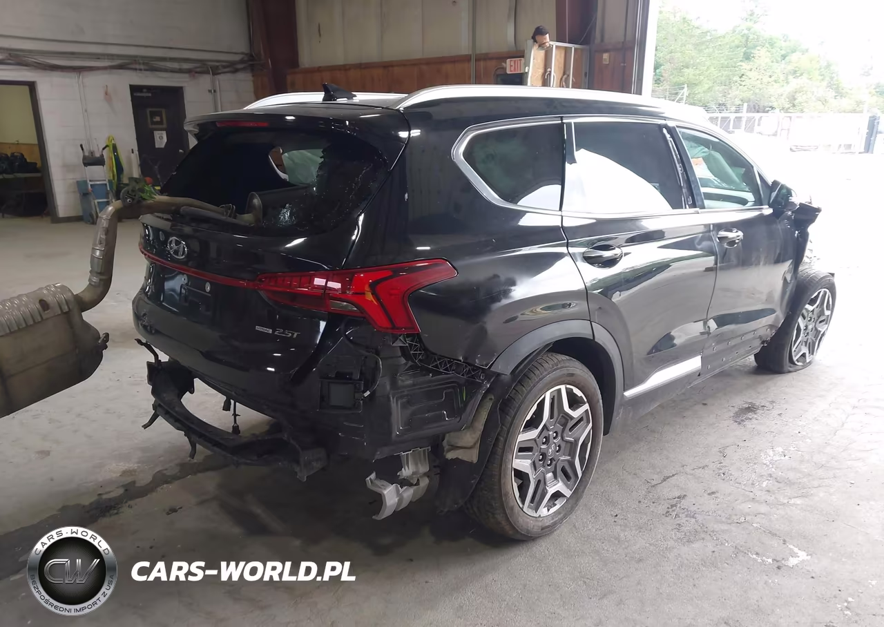 2021 Hyundai Santa Fe Limited VIN:5NMS4DAL7MH314196 - 4