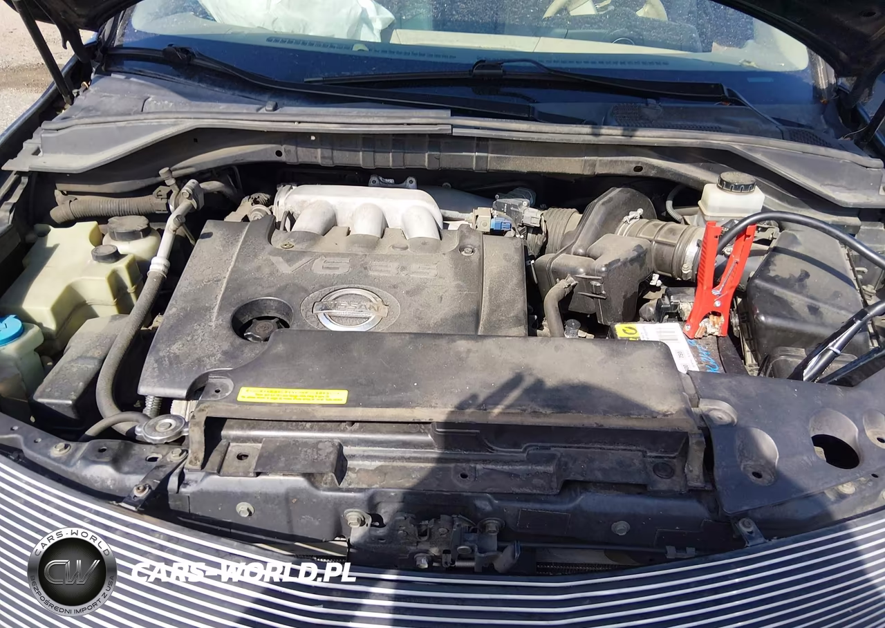 2004 Nissan Murano Se VIN:JN8AZ08W04W340825 - 10