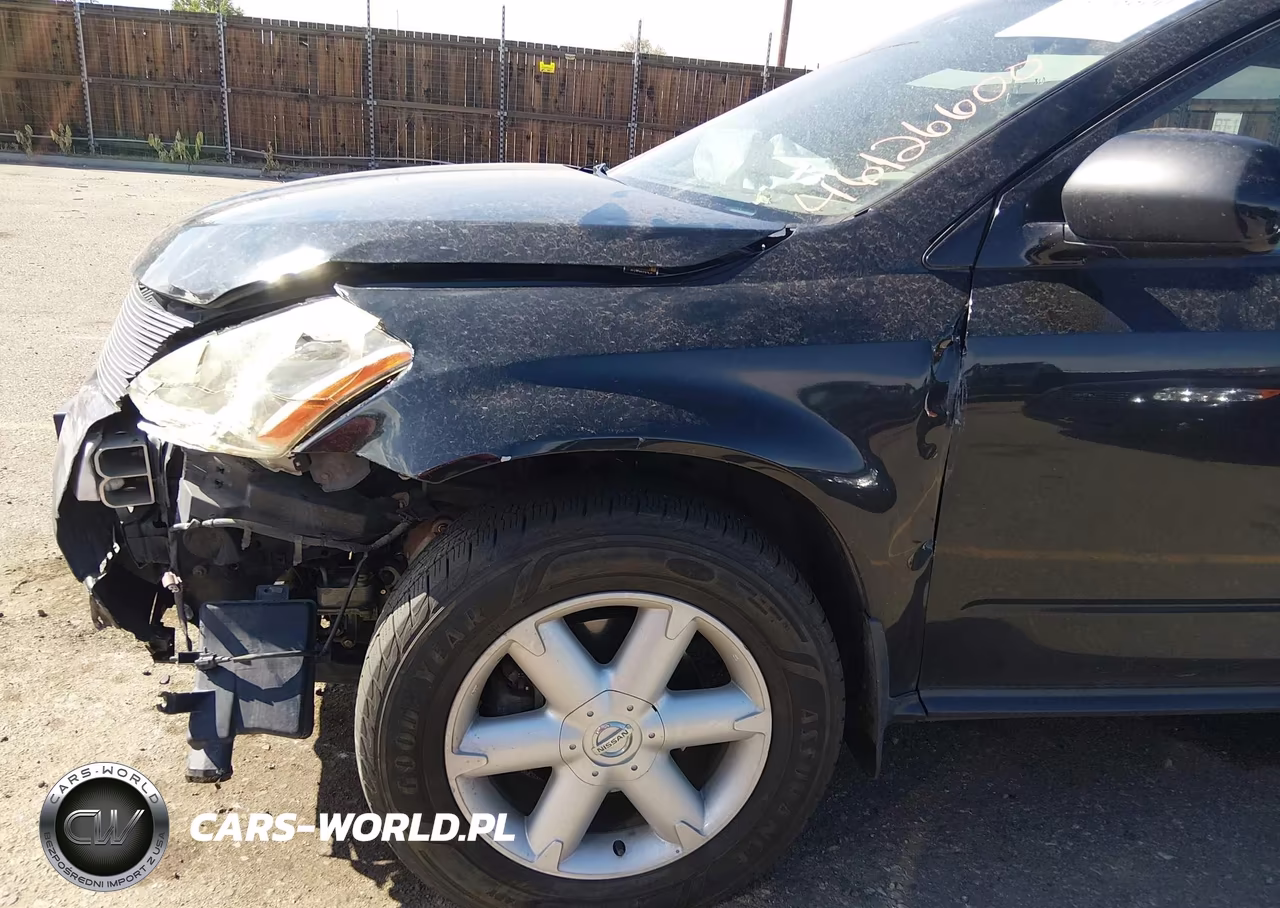 2004 Nissan Murano Se VIN:JN8AZ08W04W340825 - 6