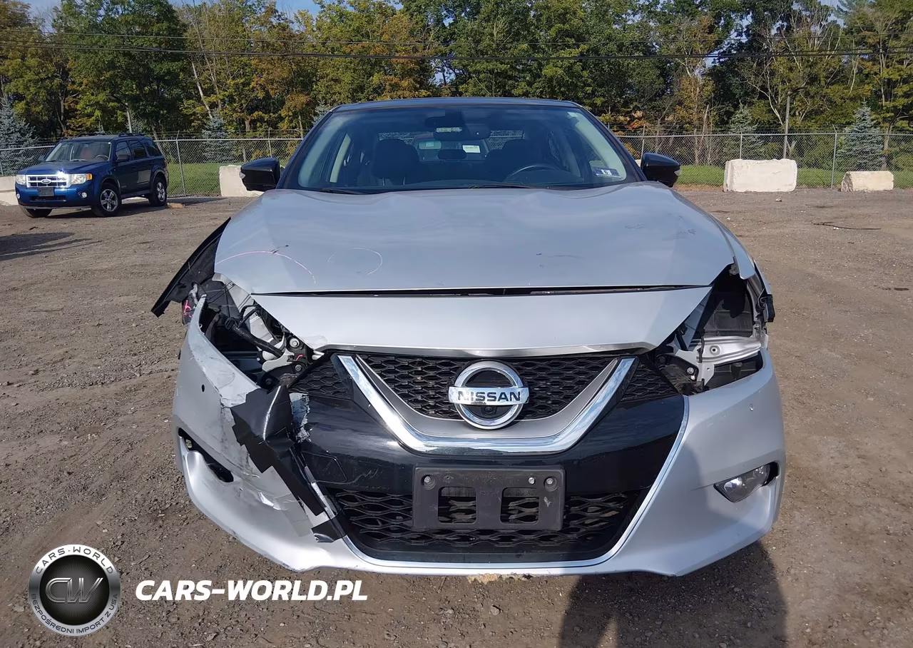 2016 Nissan Maxima 3.5 Platinum VIN:1N4AA6AP7GC379335 - 12