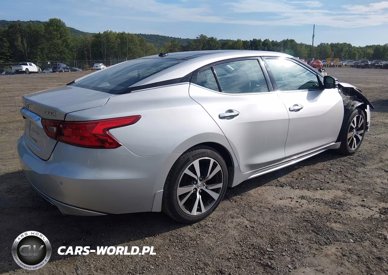 2016 Nissan Maxima 3.5 Platinum VIN:1N4AA6AP7GC379335 - 4
