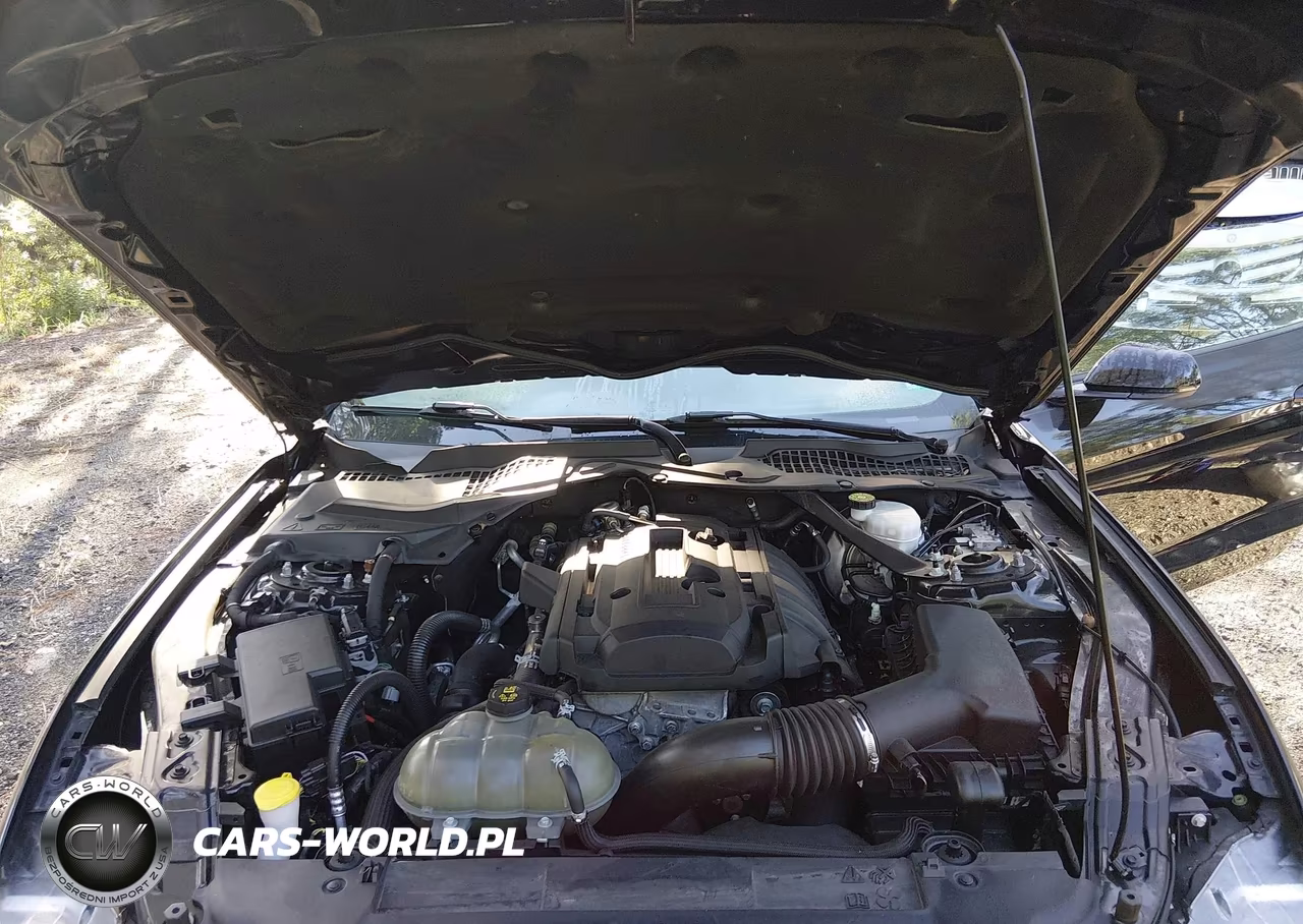 2019 Ford Mustang Ecoboost Premium VIN:1FATP8UH1K5149990 - 10