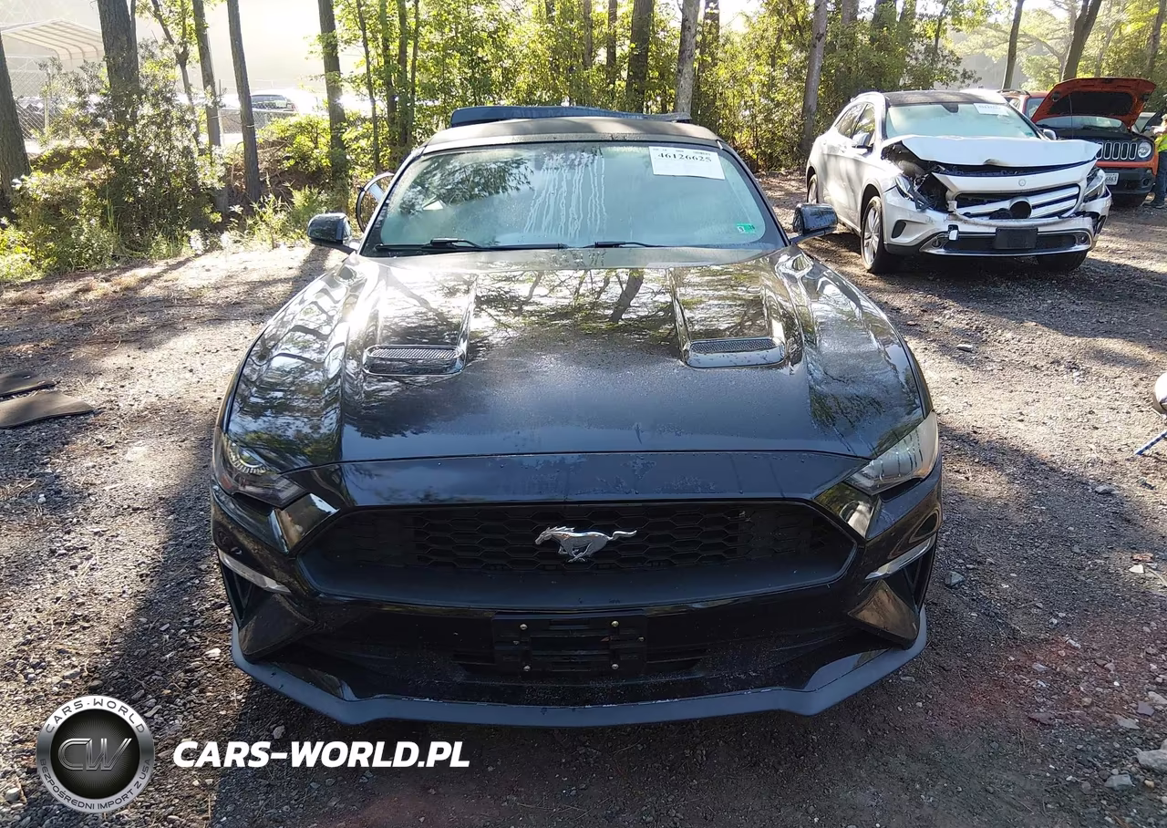 2019 Ford Mustang Ecoboost Premium VIN:1FATP8UH1K5149990 - 12