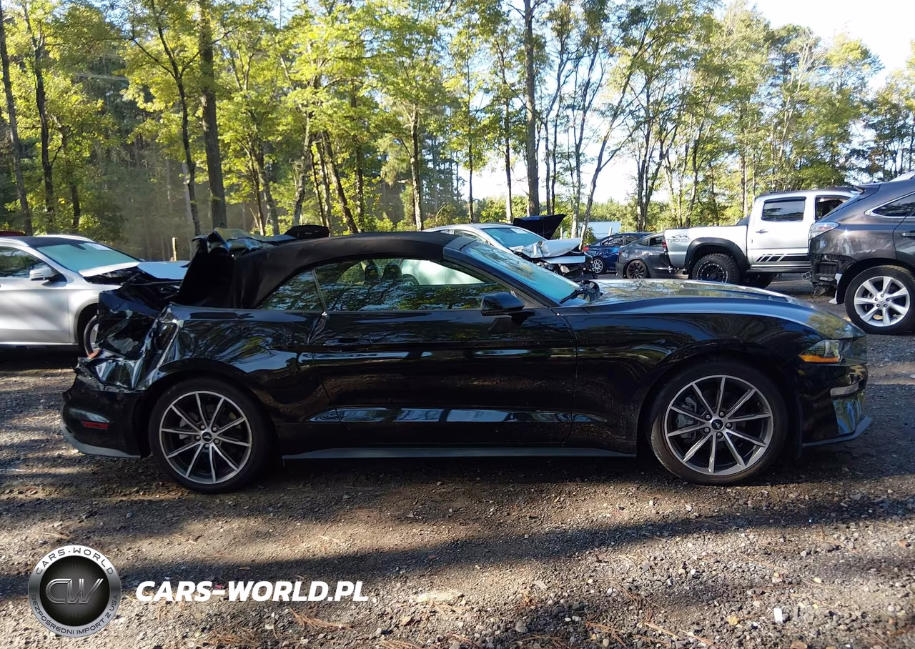 2019 Ford Mustang Ecoboost Premium VIN:1FATP8UH1K5149990 - 13