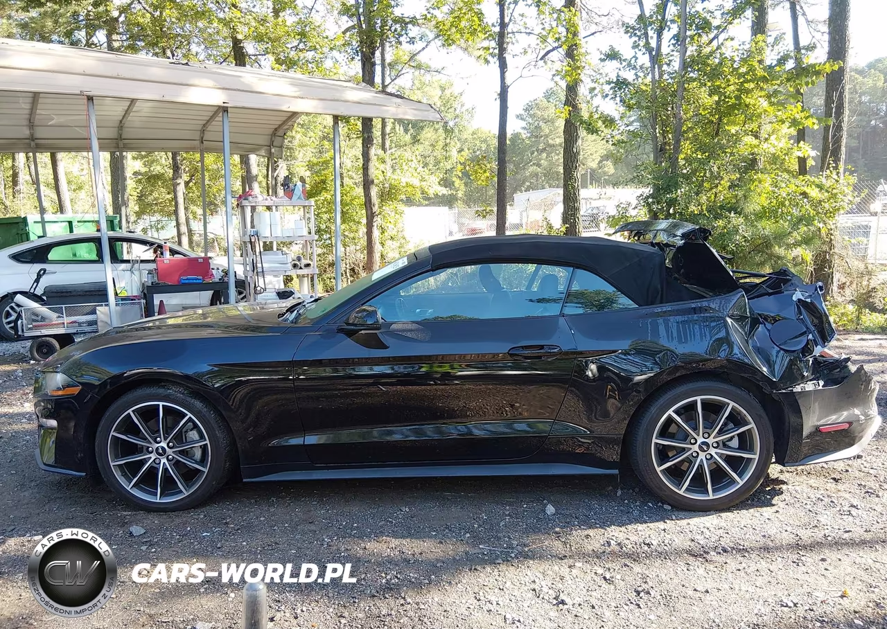 2019 Ford Mustang Ecoboost Premium VIN:1FATP8UH1K5149990 - 14