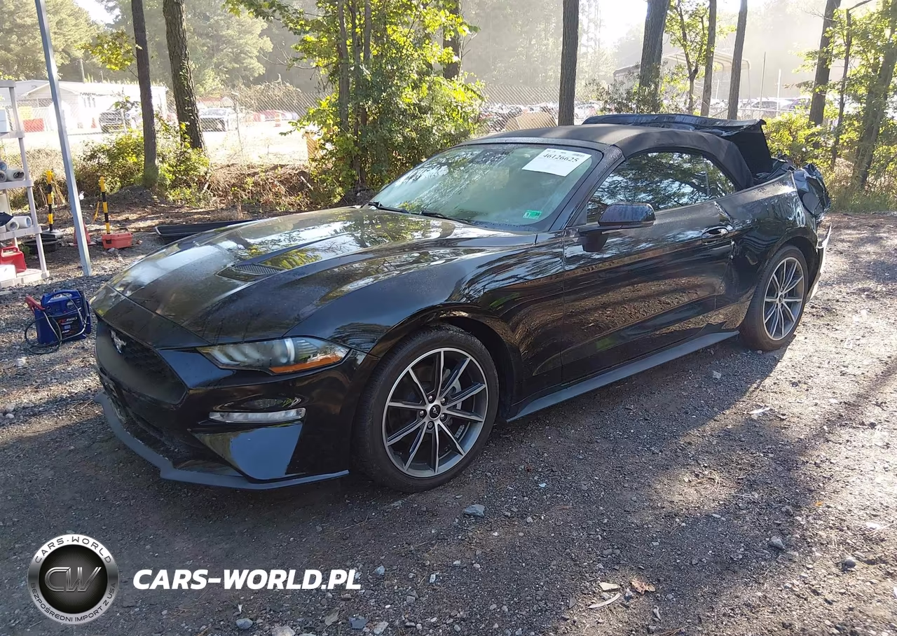 2019 Ford Mustang Ecoboost Premium VIN:1FATP8UH1K5149990 - 2