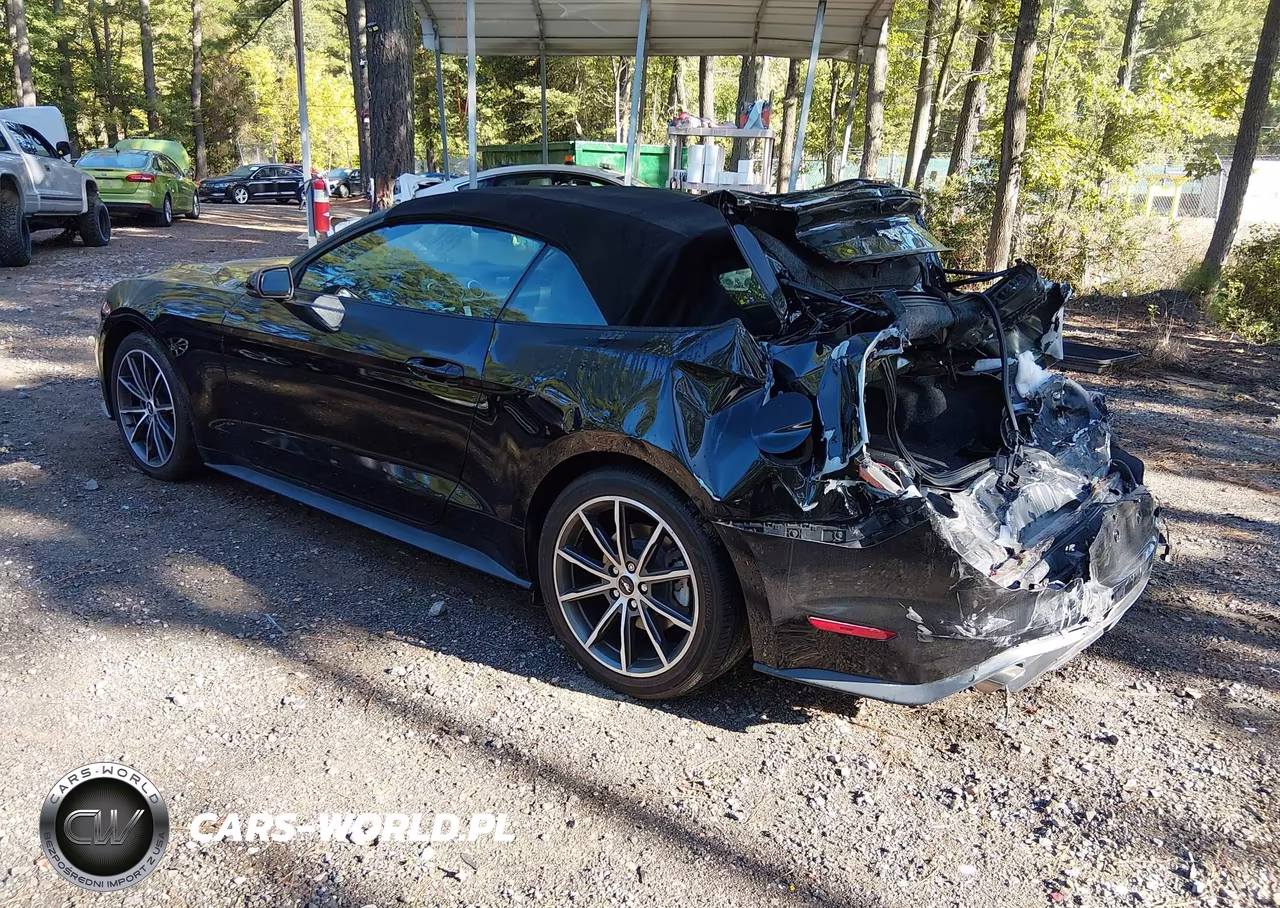 2019 Ford Mustang Ecoboost Premium VIN:1FATP8UH1K5149990 - 3