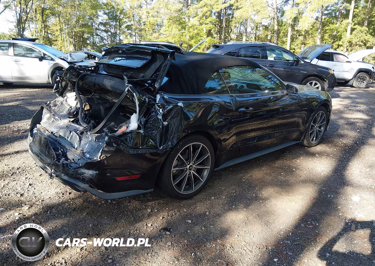 2019 Ford Mustang Ecoboost Premium VIN:1FATP8UH1K5149990 - 4