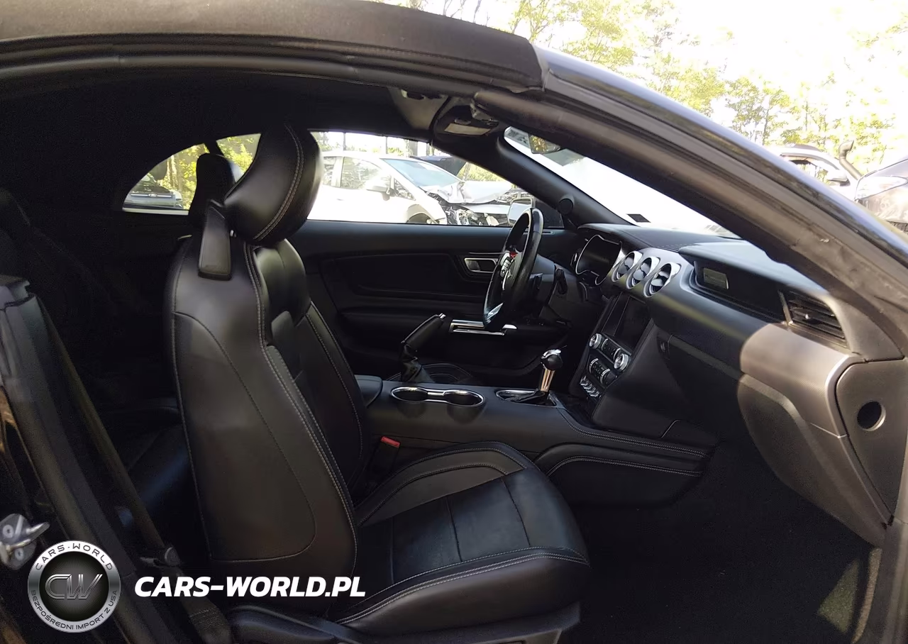 2019 Ford Mustang Ecoboost Premium VIN:1FATP8UH1K5149990 - 5
