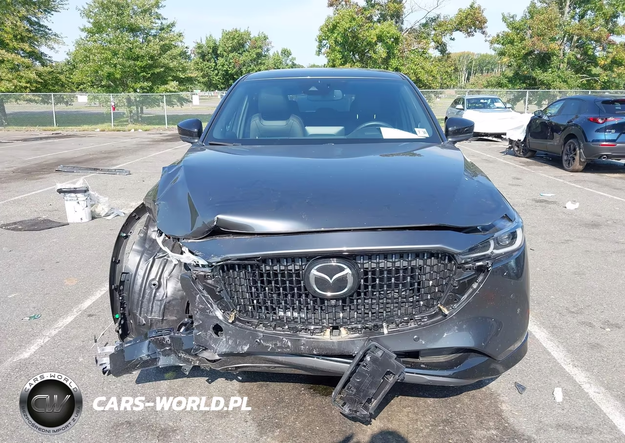 2025 Mazda Cx-5 2.5 Turbo Premium VIN:JM3KFBDY4S0665416 - 12