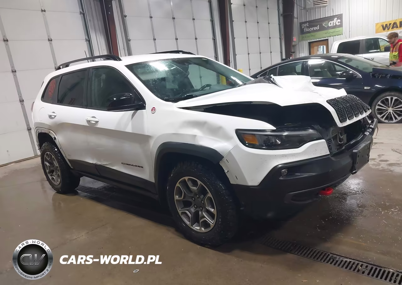 2022 Jeep Cherokee Trailhawk 4X4 VIN:1C4PJMBX5ND547553 - 12