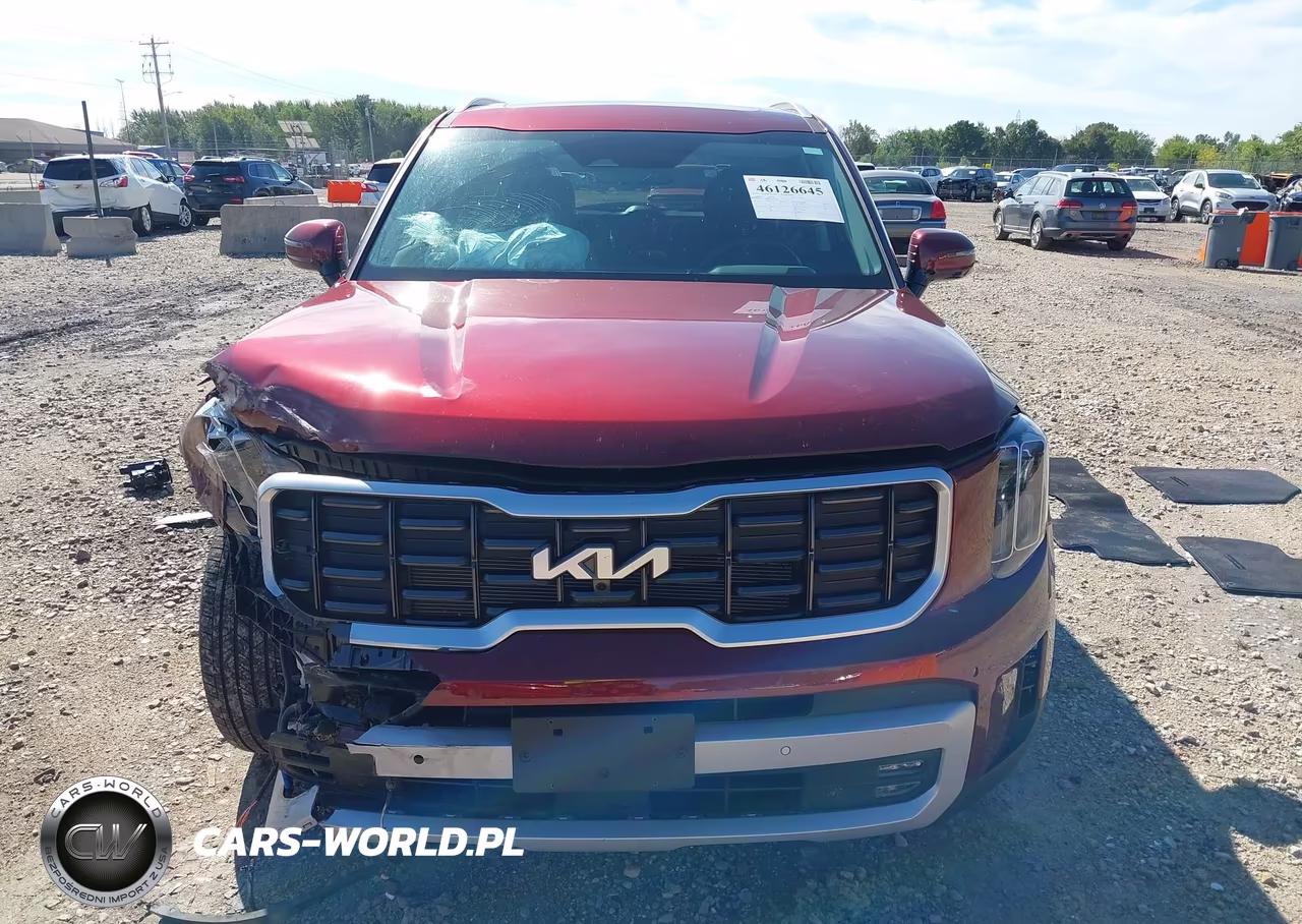 2024 Kia Telluride Sx VIN:5XYP5DGC2RG554901 - 13