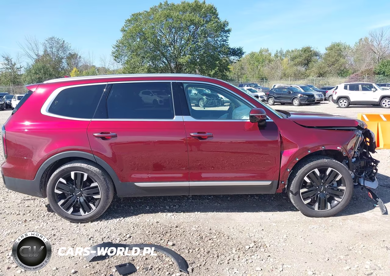 2024 Kia Telluride Sx VIN:5XYP5DGC2RG554901 - 14