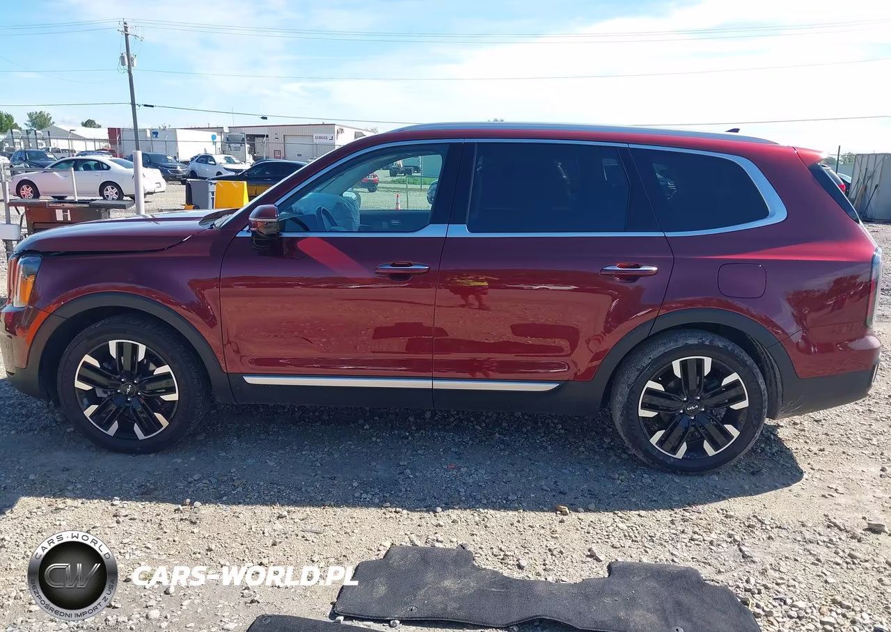 2024 Kia Telluride Sx VIN:5XYP5DGC2RG554901 - 15